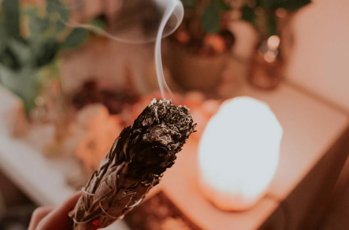 Quelles herbes de purification choisir ?